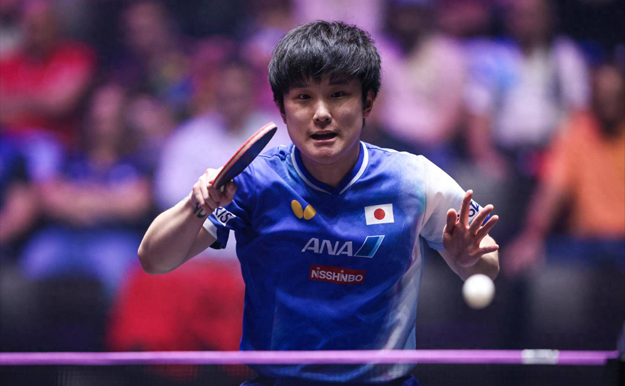 法国队力克奥地利队，张本智和状态火热的简单介绍