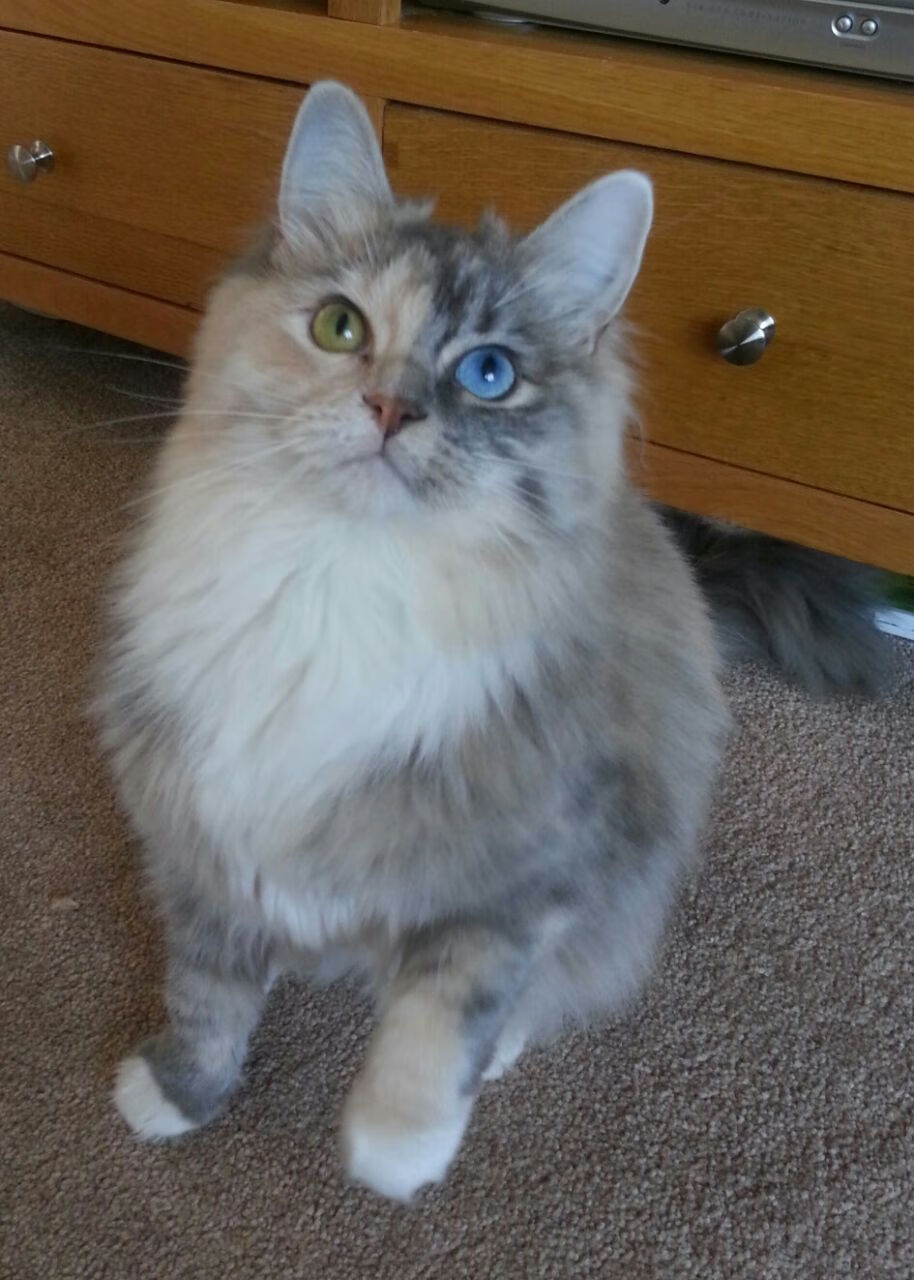 迈阿密末节风暴，当坚韧撕裂天赋