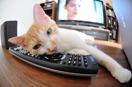 草皮绽放,中后卫阿圭罗的世界排名绝杀夜