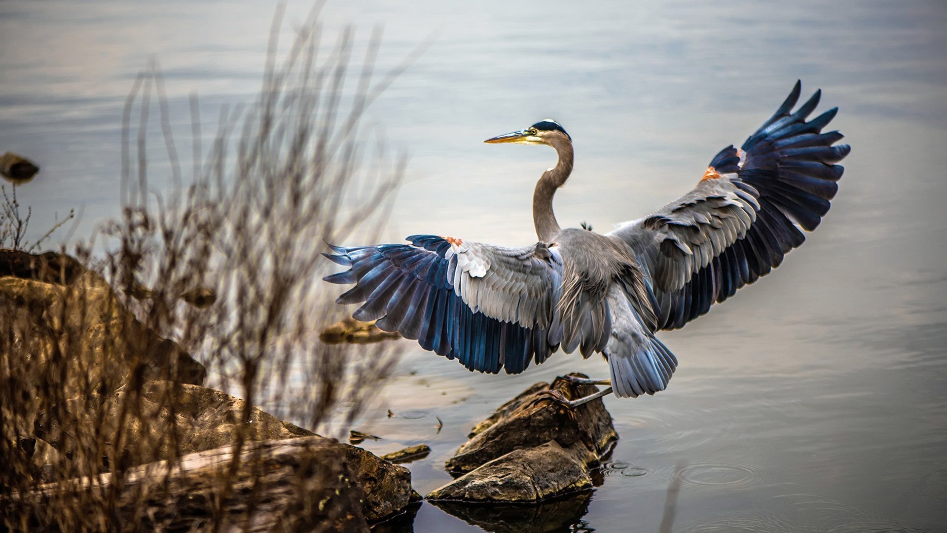 烽火燃尽,王座易主,基米希一剑封喉之夜
