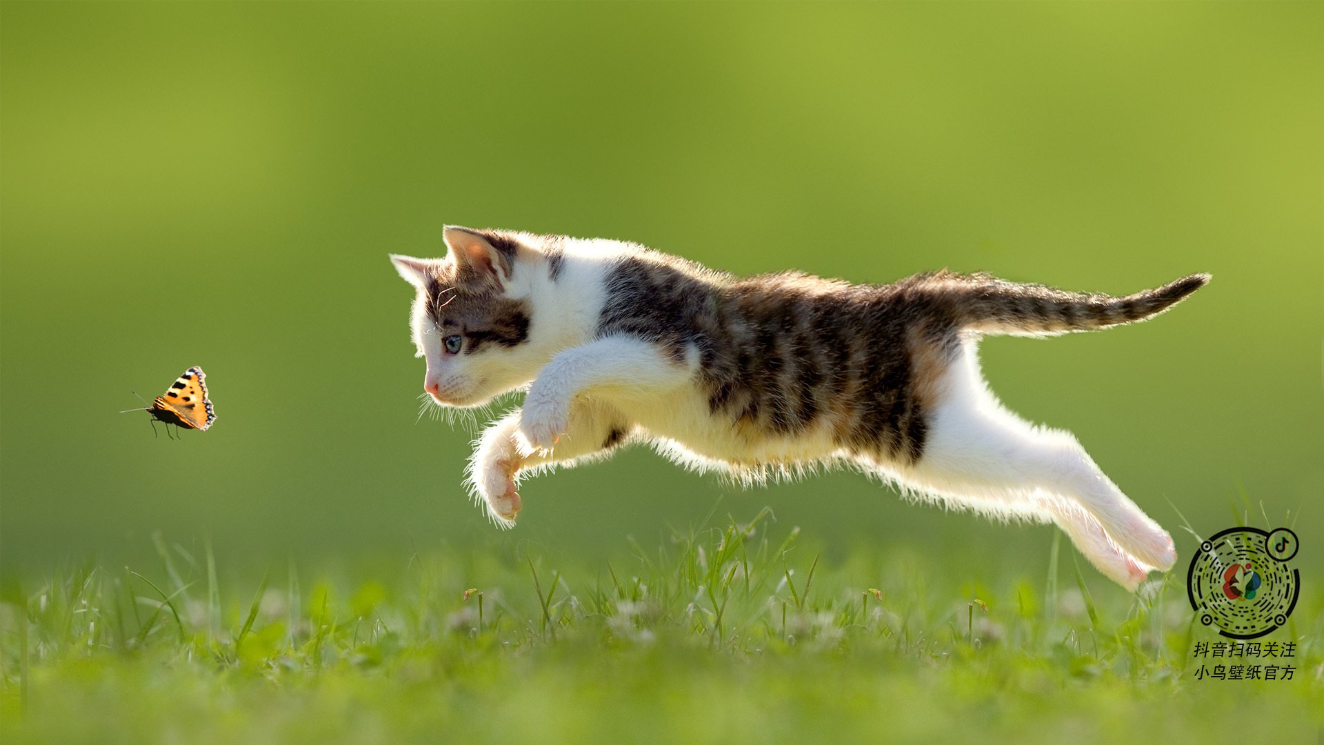 王朝黄昏，灰熊用撕裂之翼，在终章刻下年轻革命的宣言