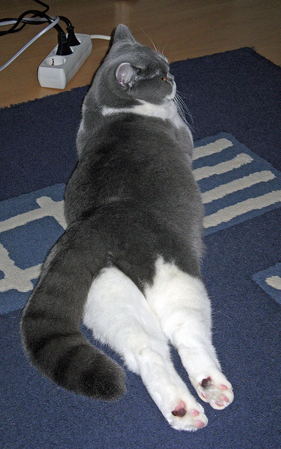 当马刺的精密仪器遇上东方绸带，保罗失速之夜